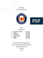 budidaya chlorella