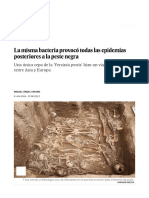 La Misma Bacteria Provocó Todas Las Epidemias Posteriores A La Peste Negra - Ciencia - EL PAÍS