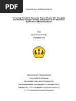 Download LAPORAN KKP by Rina Riswanti Dewi SN315260057 doc pdf
