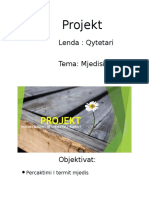 projekt-140603102603\\\-phpapp01