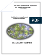 Folleto 4 Metabolismo de Lipidos PDF