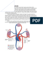 Sistem Kardiovaskuler