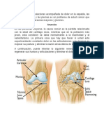 Dolor en las articulaciones