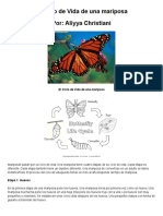 El Ciclo de Vida de Una Mariposa