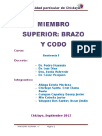 Brazo y Codo Anatomia - Docx Informefinal