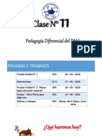 Clase Nº 11 - Pedagogia Diferencial en DM I - 2016