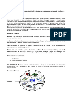Apunte Modelo Anderson | PDF | Enfermería | Planificación