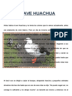 El Ave Huachua