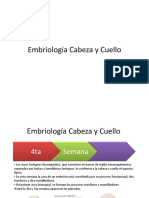 embriologc3ada-cabeza-y-cuello.pdf