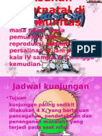 Asuhan Postnatal Di Komunitas (Yeviza)