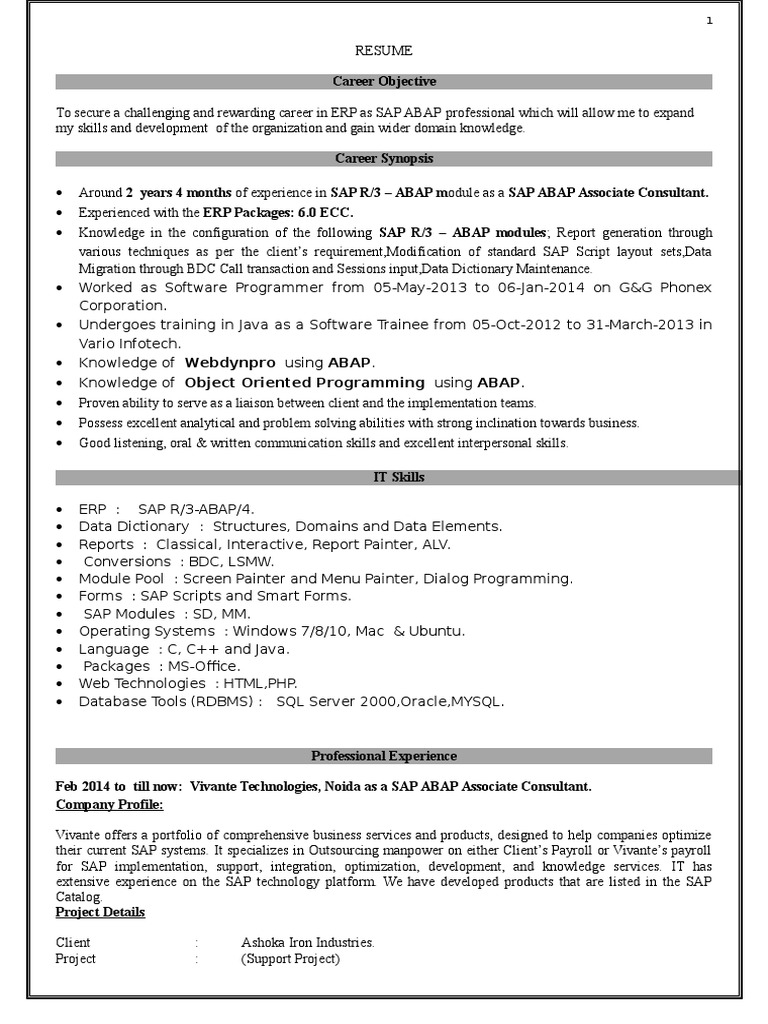 Abap CV | PDF | Sap Se | Computing