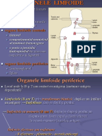 Organe Limfoide Periferice