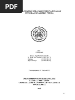 Download Observasi Tanaman Pepaya by Tetuko Yoga Pradana SN315327375 doc pdf