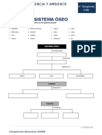 Ciencia y Ambiente II