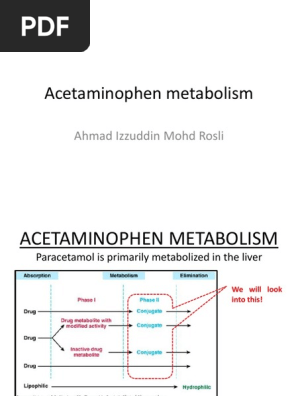 9 Pcm Metabolism Drug Metabolism Glutathione