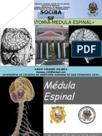 Medula Espinal 2015