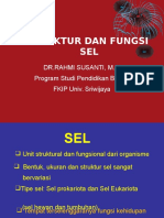 Struktur & Fungsi Sel