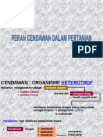 Cendawan Pertanian