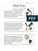 Plant Parts To Upload