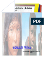 Consulta Previa Mininterior 2009