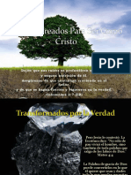 Transformados Por La Verdad - 1