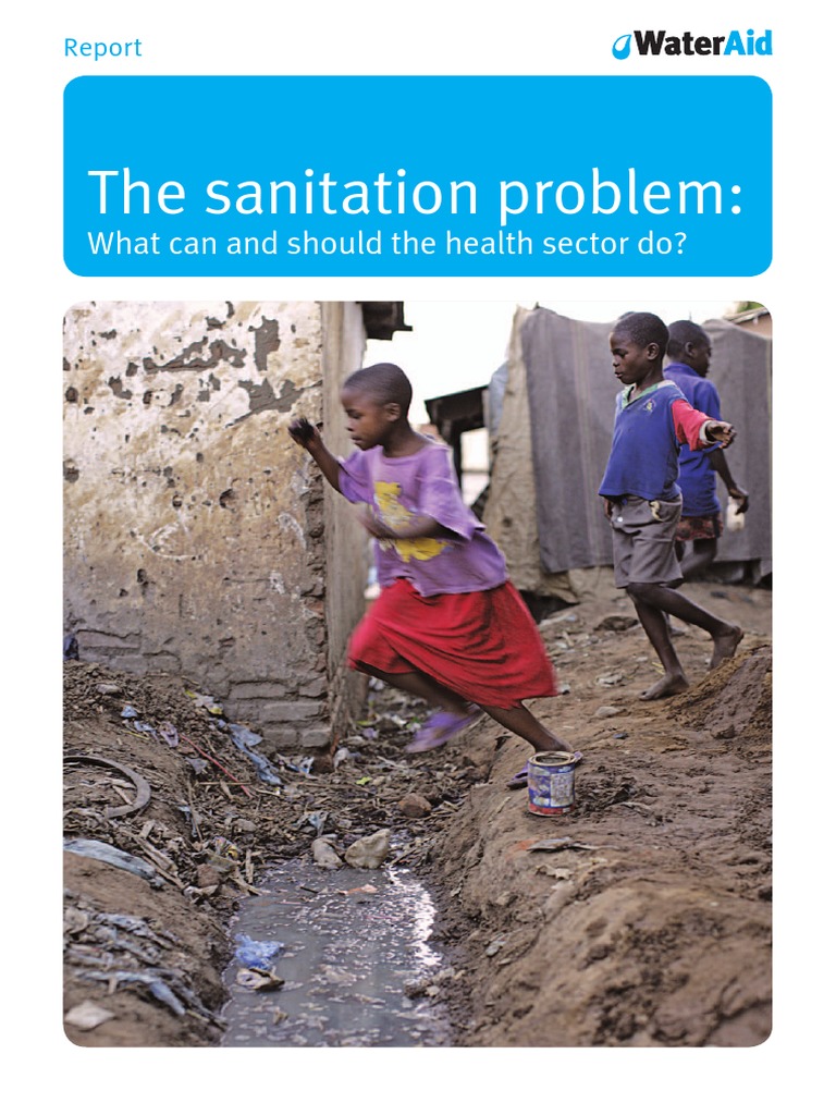 Health Sector's Role in Sanitation Solutions | PDF | Sanitation ...