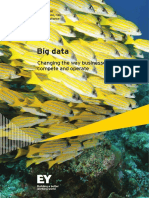 EY Insights On GRC Big Data