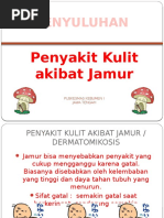 Penyakit Kusta PDF IKK PENYAKIT KULIT INFEKSI ppt