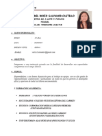 Curriculum Vitae Ejemplo