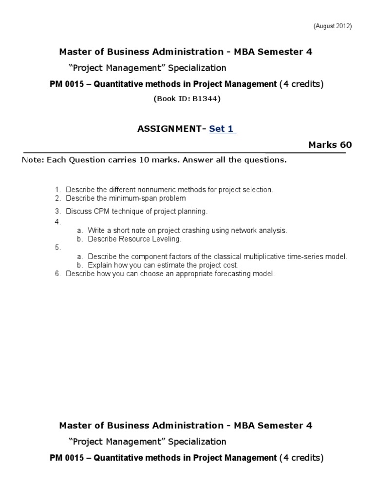 MBA Project Management Assignment Guide | PDF