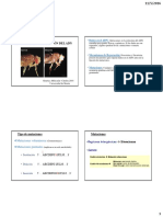 Mutaciones y Reparación Del ADN