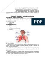 Fisiologia respiratoria