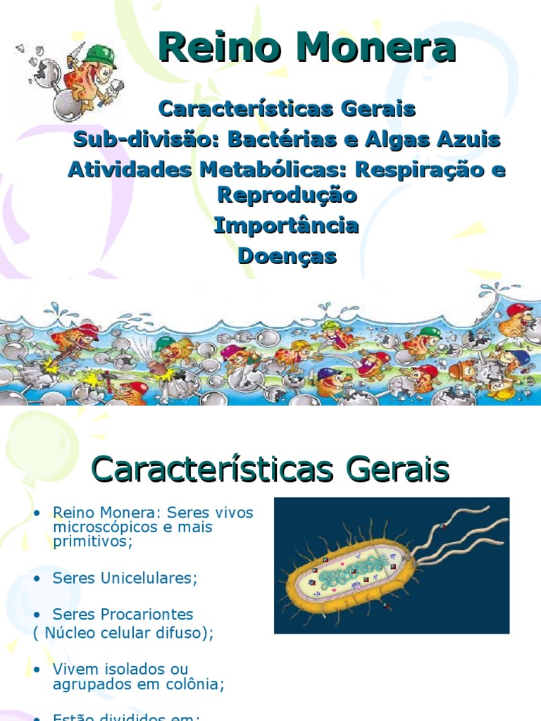 Reino Monera: Bactérias e Algas Azuis | PDF | Cianobactéria | Bactérias
