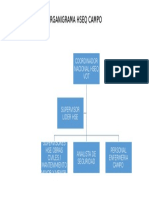 Organigrama Hseq Campo