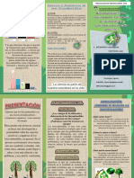 Triptico de Biocombustibles