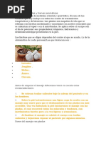 Masaje Con Pindas y Hiervas Aromaticas PDF Masaje Medicina