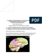 Curso Neurolectura y Aprendizaje Acelerado 08 07