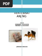 Download Makalah reproduksi anjing by Hilman As Siddiq SN315469124 doc pdf