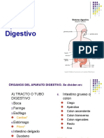 Aparato - Digestivo Clase 2