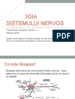 Transmiterea Sinaptica Partea 1 (Samih)