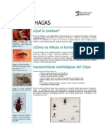 Boletín MAL DE CHAGA