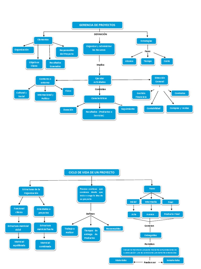 Actividad 1 Mapa Conceptual Gerencia de Proyectos UDES