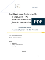 Caso Del LAgo Junin y Su Contaminación Con La Normativa Peruana