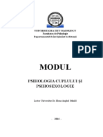 CURS ID Psihologia Cuplului - Elena Anghel Stanila