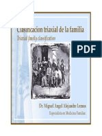 Clasificacion Triaxial de La Familia - Dr Alejandre [Modo de Compatibilidad]