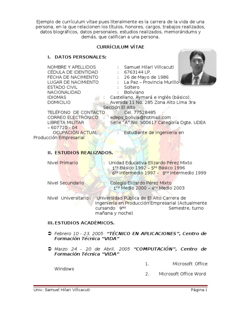 Ejemplos De Curriculum Vitae En Word