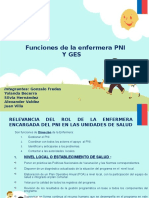 Funciones Pni y Ges