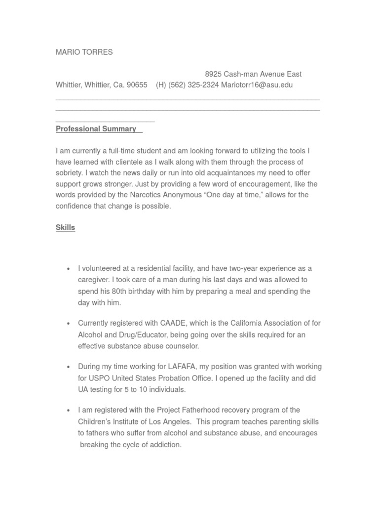 Professional Summary | PDF