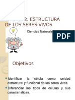 Estructura de Los Seres Vivos 5to.