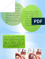 bacter-exposicion-proyecto.pptx